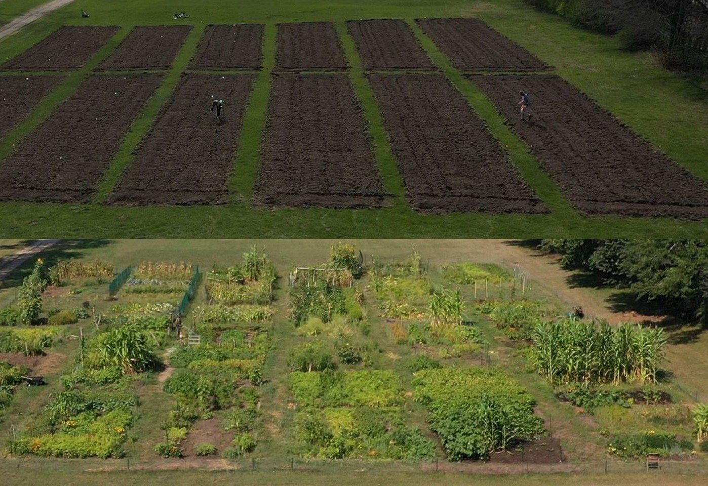 photo of the highland community garden plots freshly tilled in April and then fully grown in August