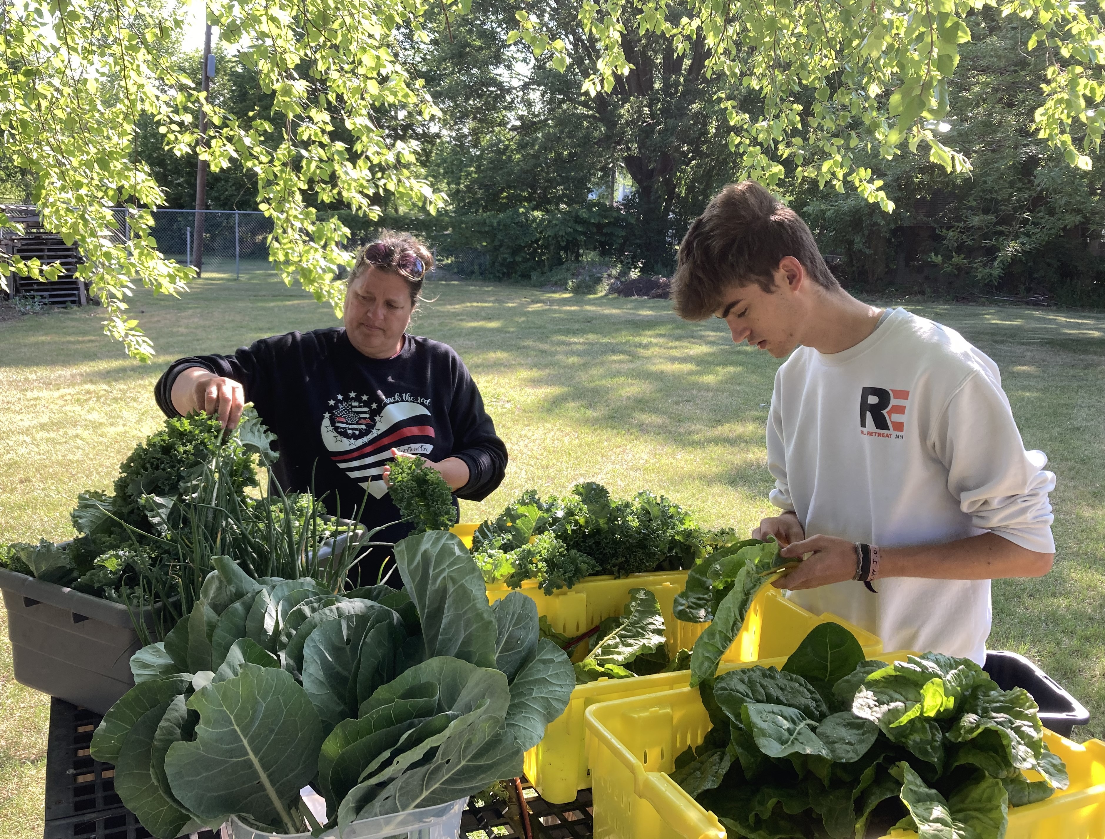 Two people sorting green produce