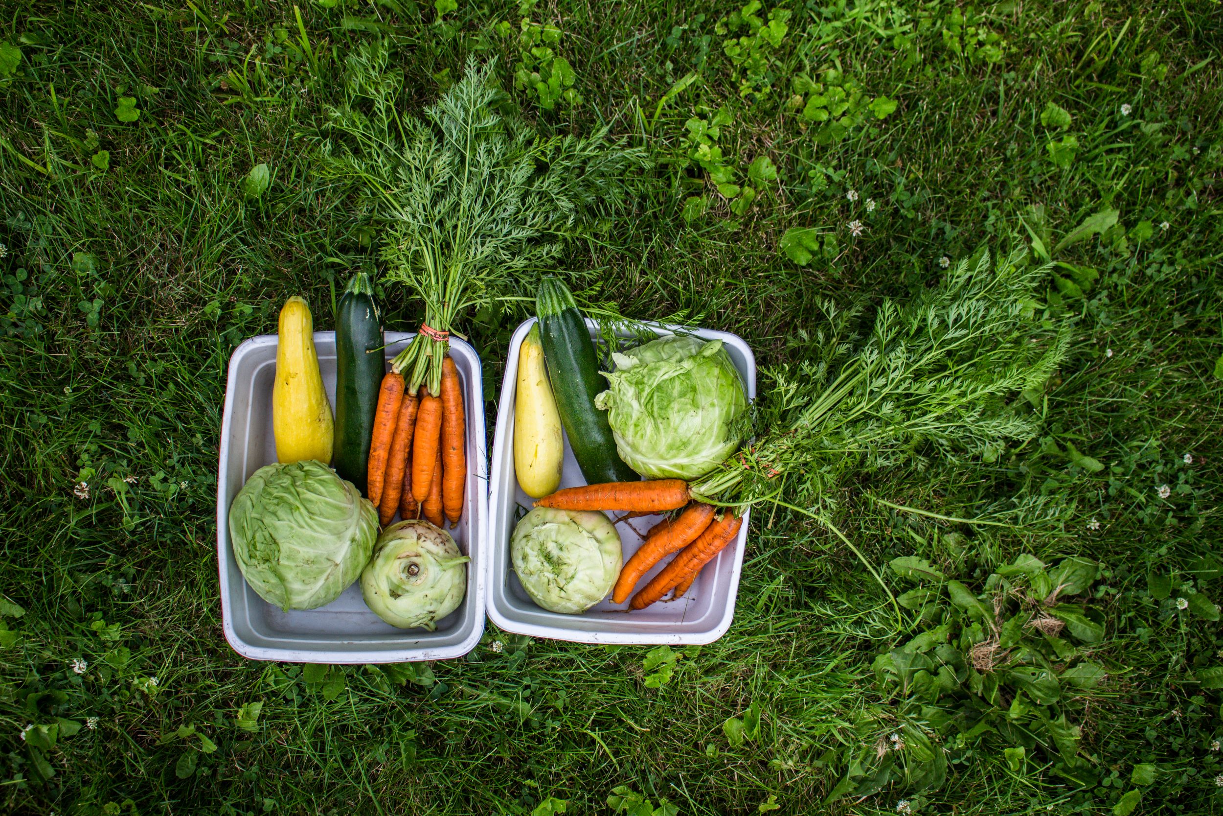Two baskets of produce in the grass