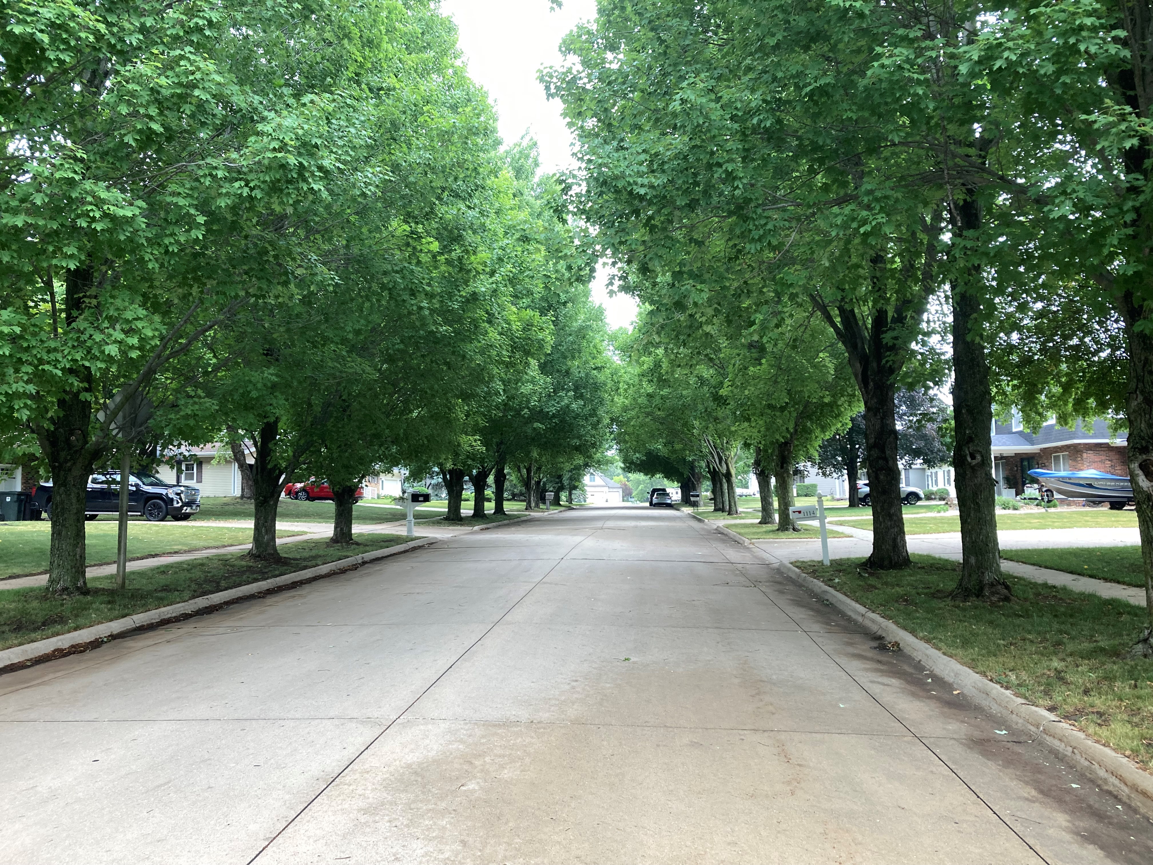 Street lined with mature trees, providing ample shade