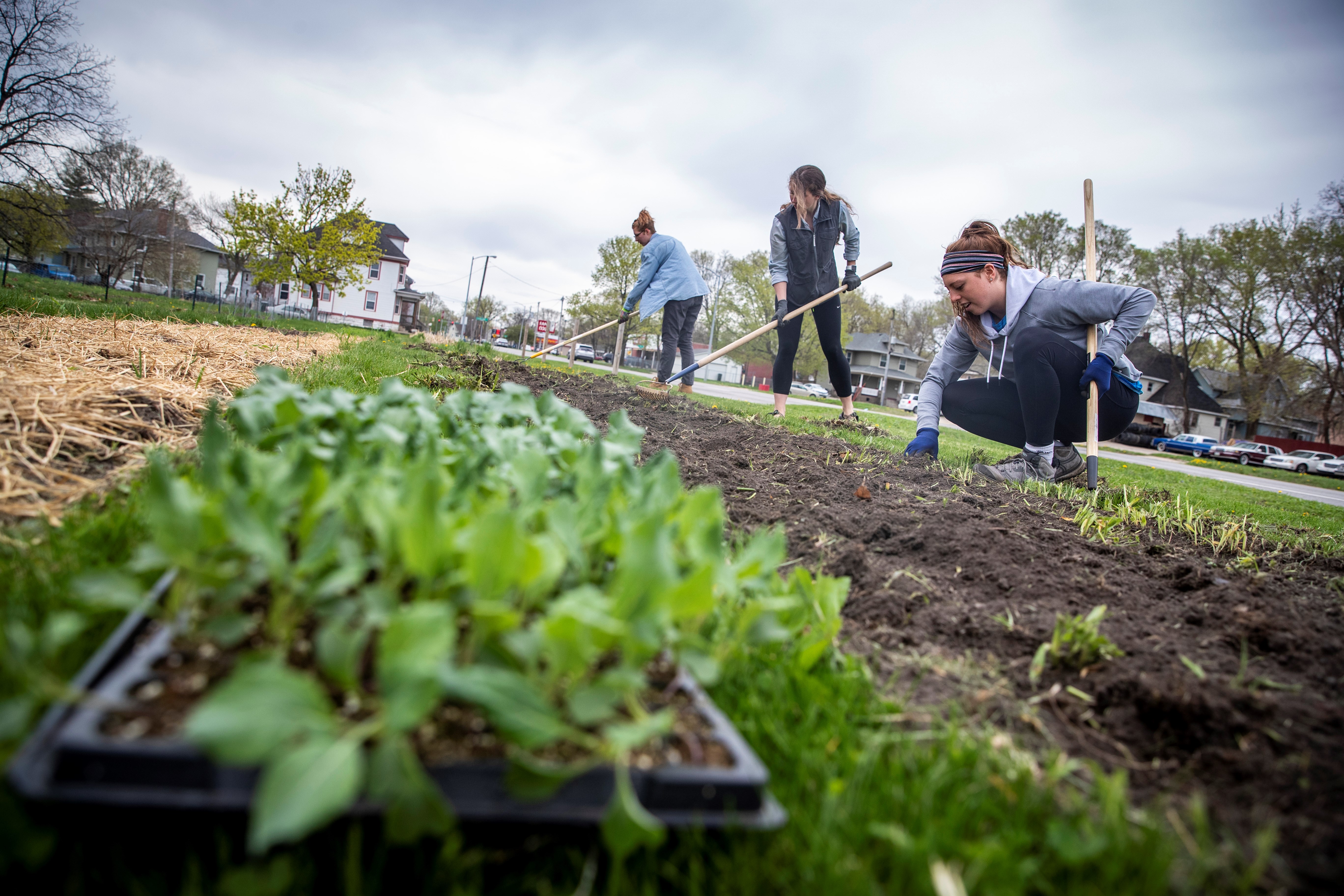 VISTA members working in a garden