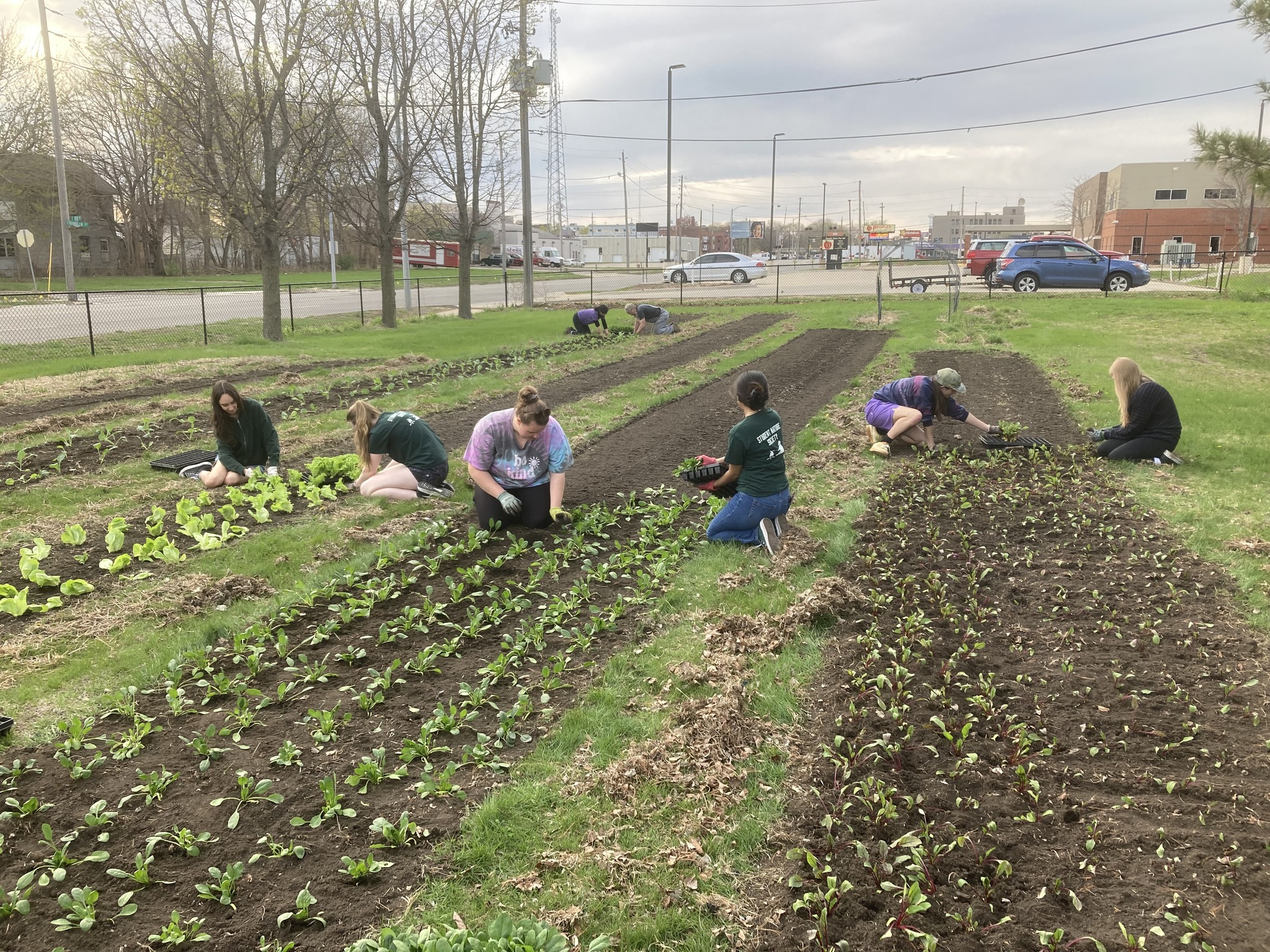 Volunteers working in a garden