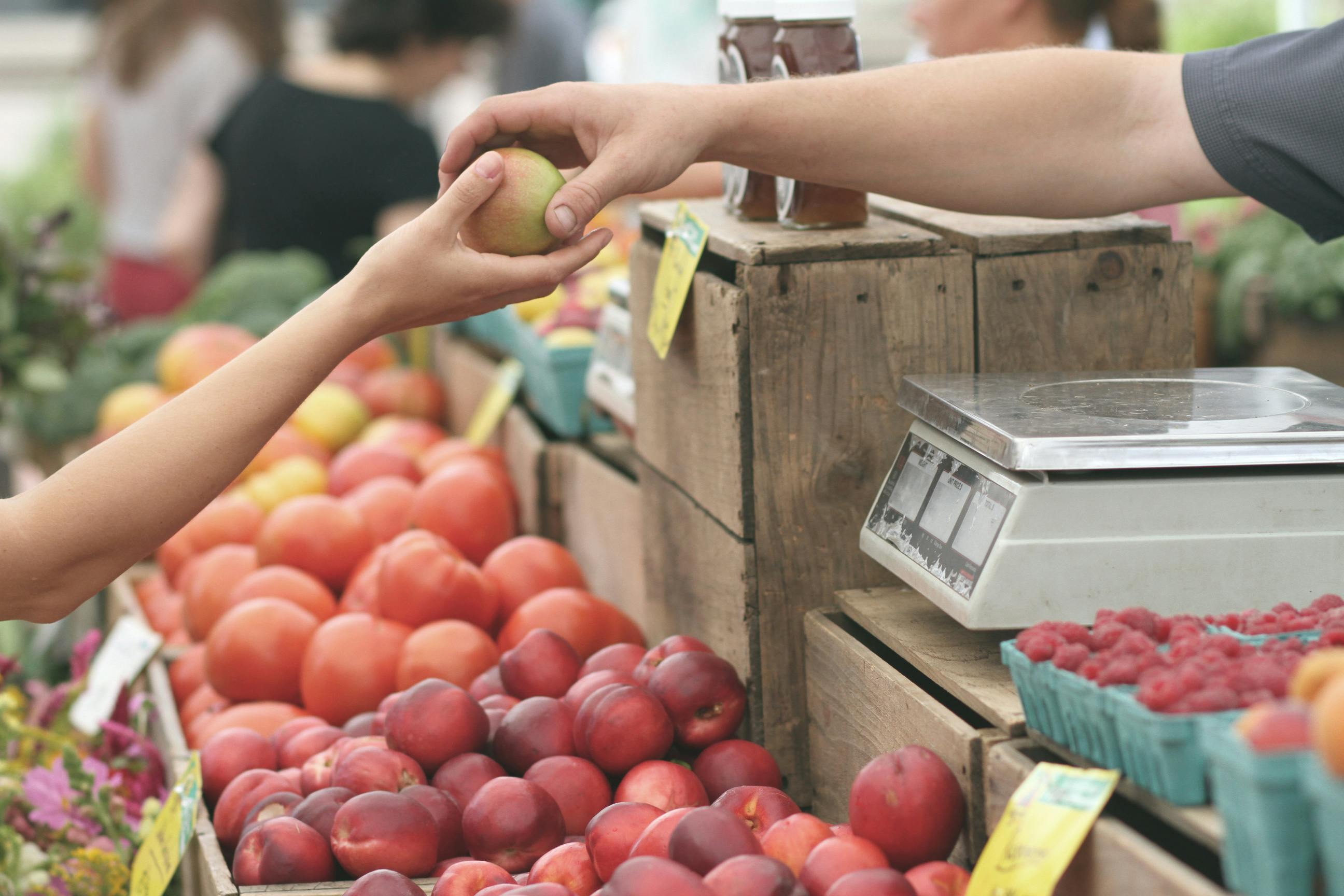 Vendor handing someone a vegetable at a farmers market