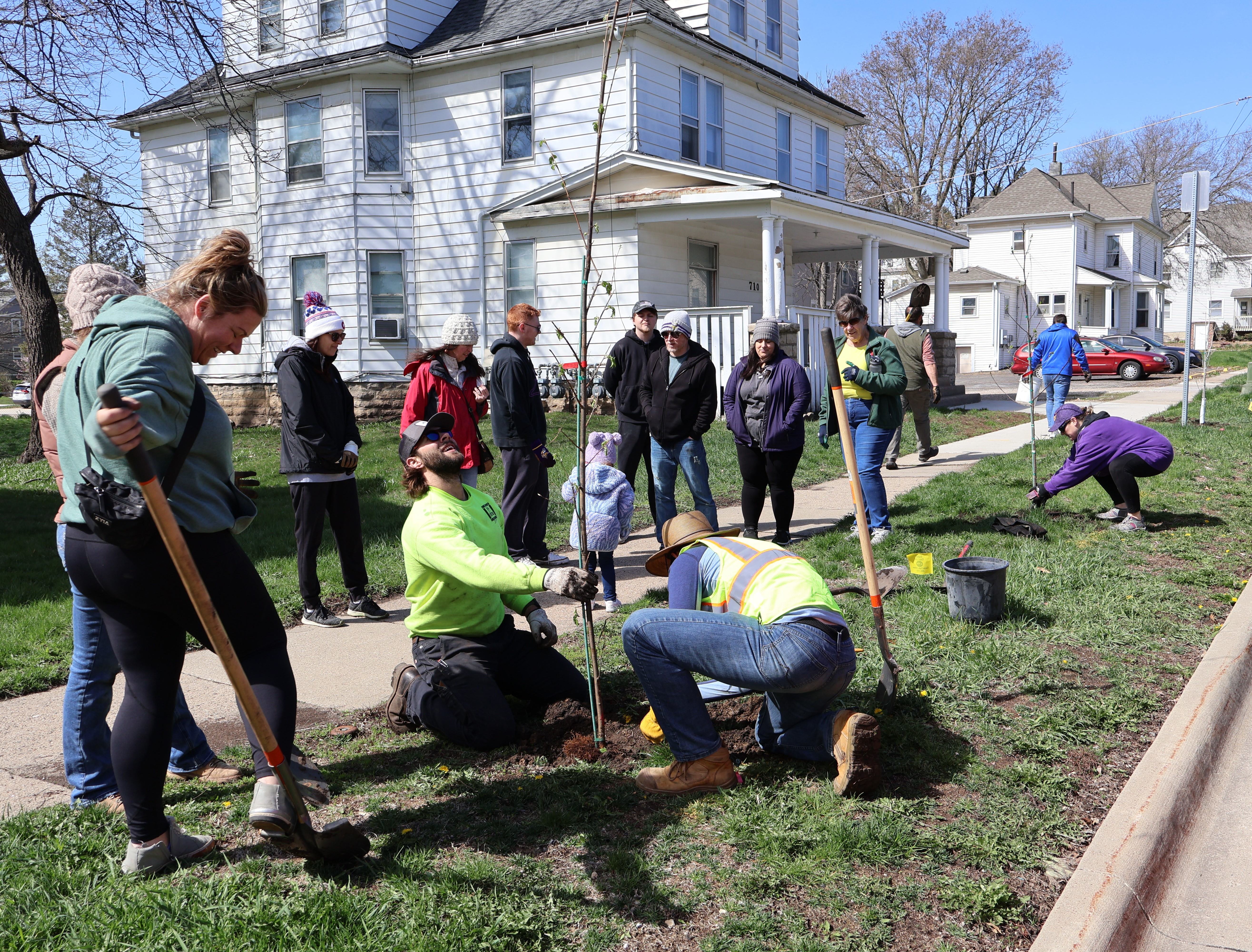 Volunteers planting trees with city of cedar falls staff